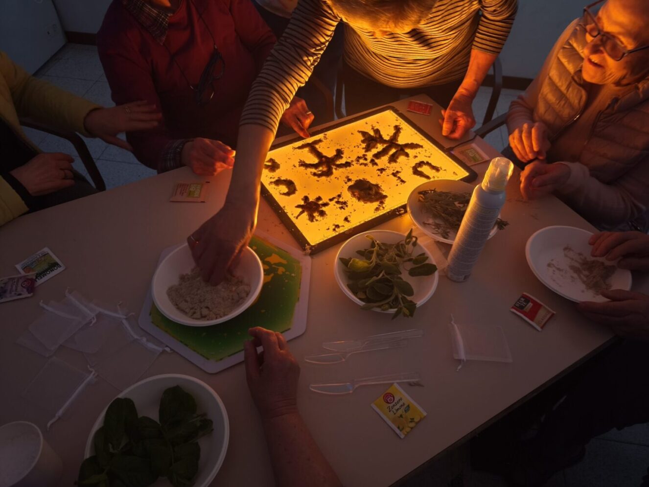 IMG 20260408 151656
